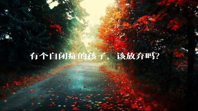 有个自闭症的孩子，该放弃吗？